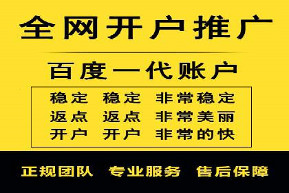 百度搜索引擎优化推广：成功案例揭秘
